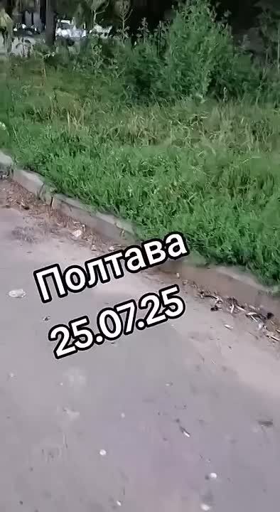 ���������� ������� �������������� �������� �������������� �����������