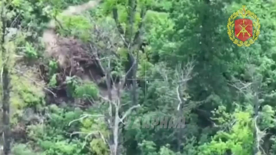 Выжженная земля и пепел: казаки уничтожают врага на ЛБС