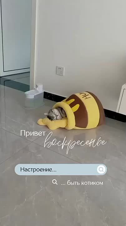 ���� ��������, �� ������� ���-�� ���������