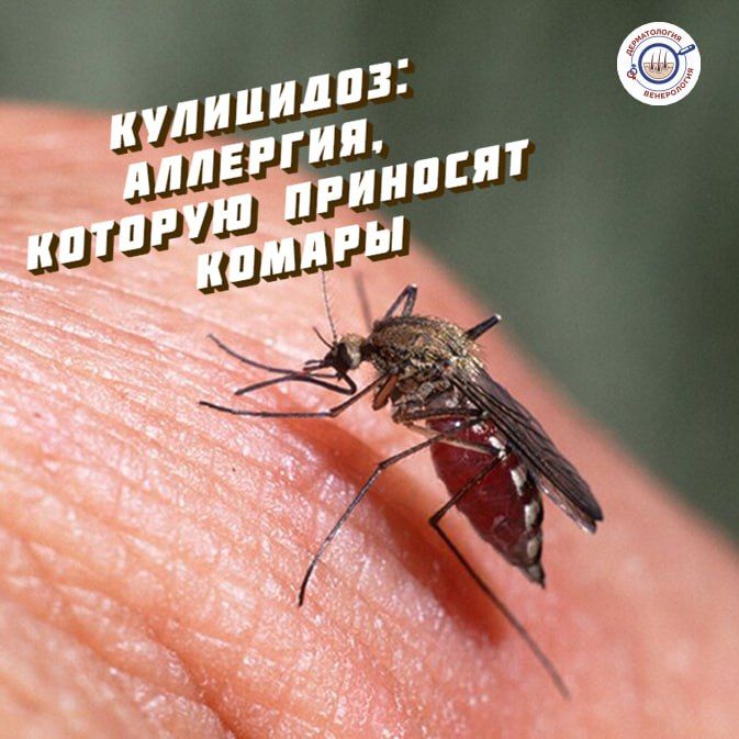 ��������� (������� �������) � ��� ������������� ������� �� ����� �������, ������� ����������� ���������� �����������, ����� � ����� � ����� �����