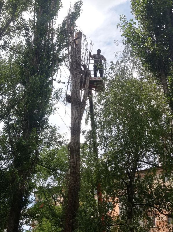 Евгений Морозов: Дождь, ураган или палящее солнце - для коммунальщиков не имеет значения