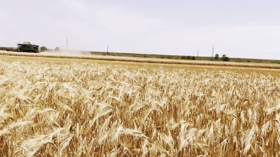 Андрей Рубанцов: В Ровеньках продолжается уборочная кампания