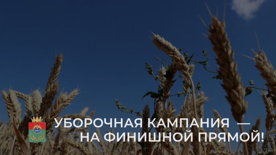 ������� �������: ��������� �������� �������� � ������������ ������� �� ���������� ������ �������� �������� � ����������