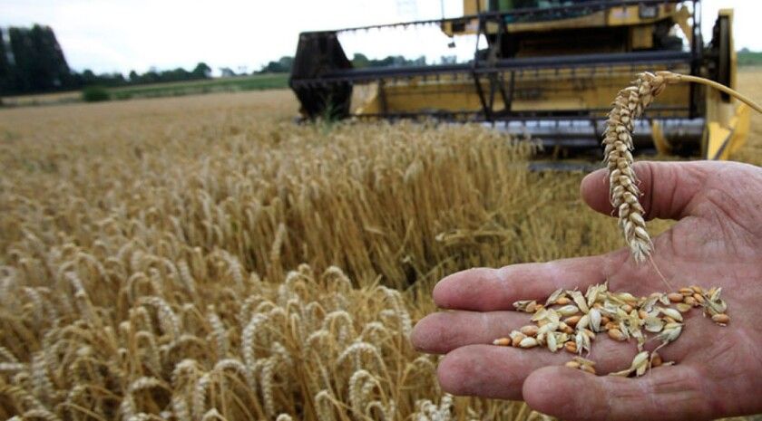 Фермерское хозяйство из Старобельского района станет участником СЭЗ