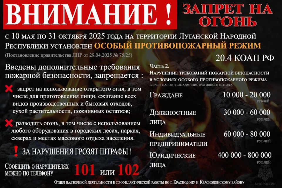 �� ���� ���������� ��������� �������� ���������� �� 31 ������� 2025 ���� ���������� ������ ��������������� �����