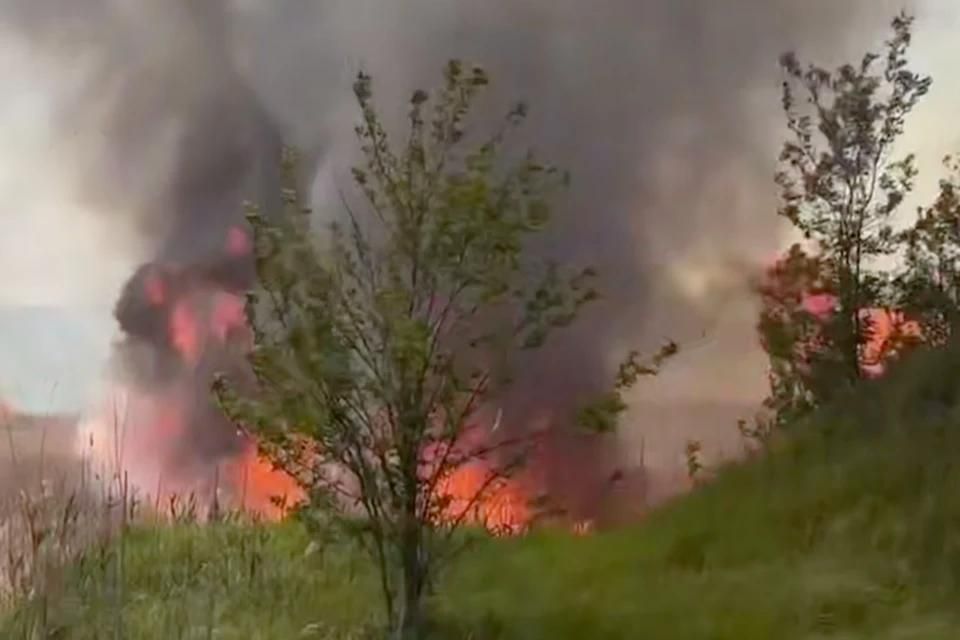 ����� ������ 310 �������� ��� ��������������: �������� ����� ������ ���������� ������� ���