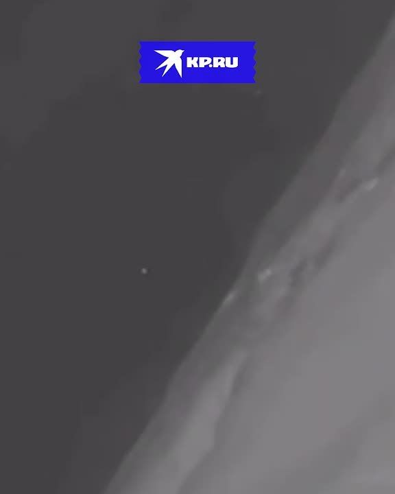 ����� ������ 310 �������� ��� ��������������: �������� ����� ������ ���������� ������� ���