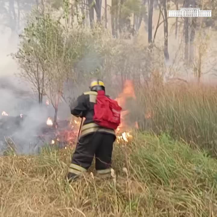 ����������� ������ � ���: ����� ������������ � ���� ������� ��� ��������������