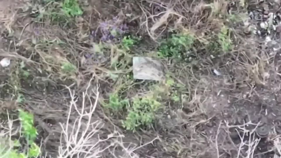 ������������ 88-� ������� 3-� ������������� ����� ���������� ��� ������ ���������� ���� ���������� ������������� �� ��������� �����������