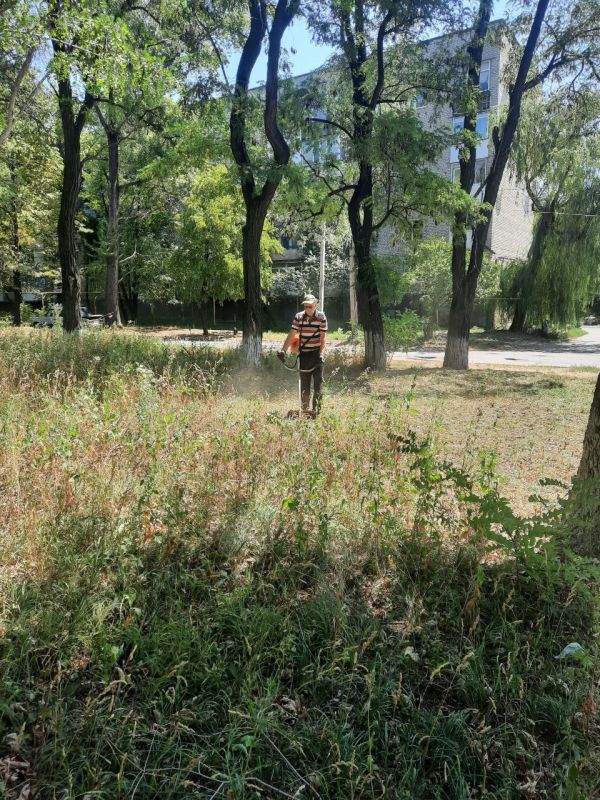 Андрей Рубанцов: Ровеньковское муниципальное унитарное предприятие "СКАТ" возобновило работы по покосу травы на территории городского округа