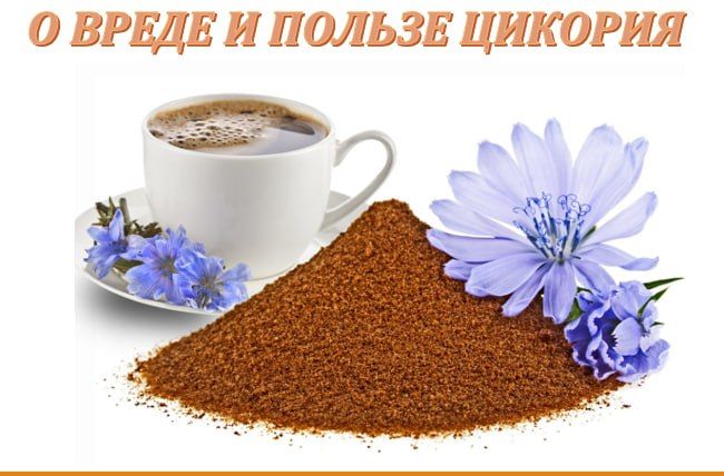 ������� � �������, ������� ������������ �� ������ ������������ ������������ ������������ ��������