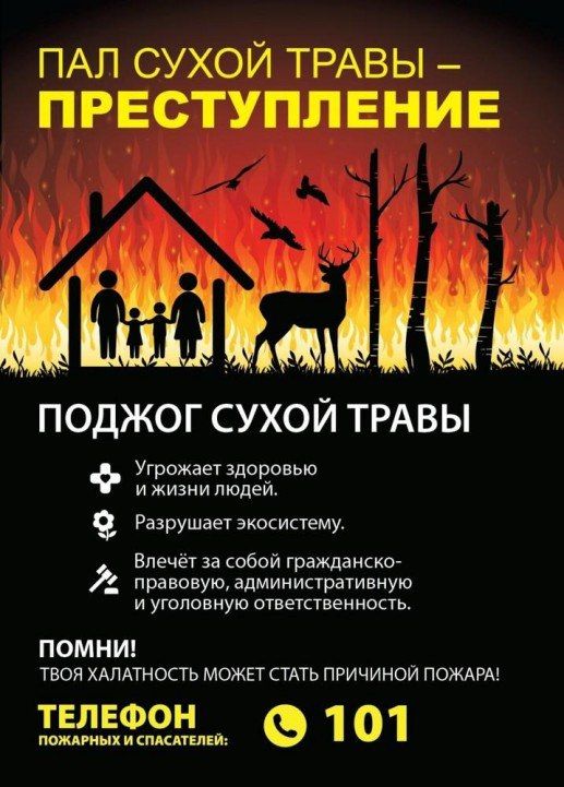 ������� ���� ����� ����� - �����������Ż