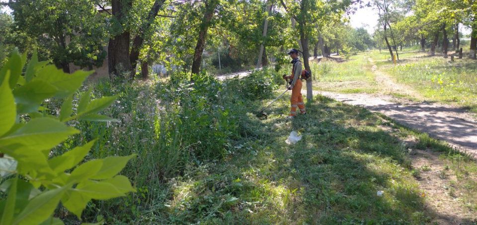 Сергей Козенко: Краснодон становится более привлекательным благодаря неустанной работе сотрудников МУП «ДЭУ», которые занимаются прополкой клумб и покосом травы