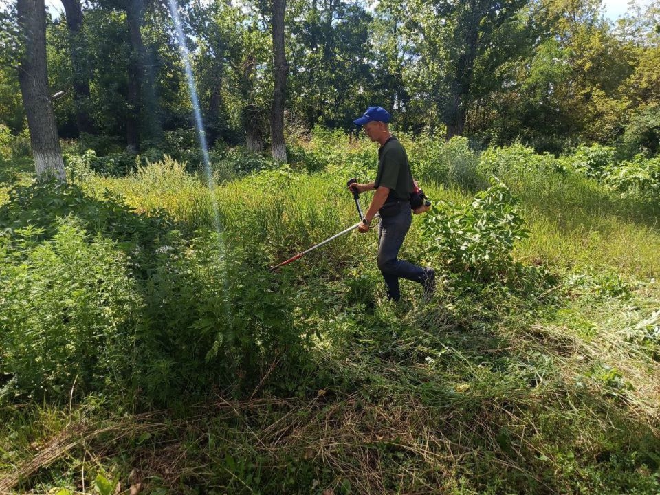 Андрей Рубанцов: Продолжаем наводить порядок на территории городского округа!