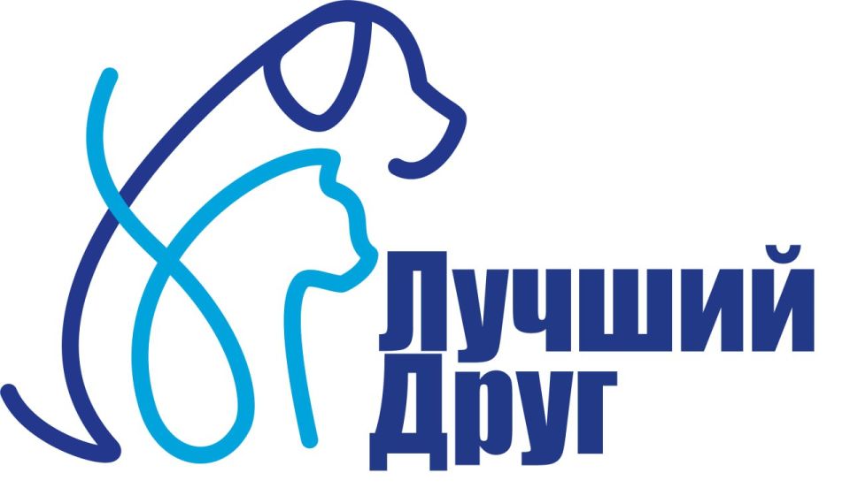 Партия «ЕДИНАЯ РОССИЯ» запускает акцию «Лучший друг»