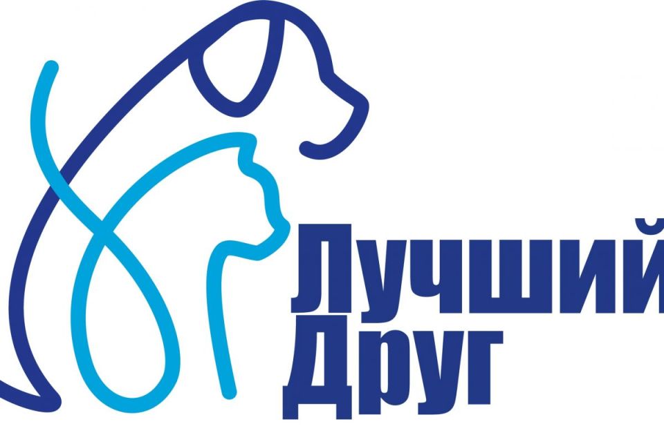 «Единая Россия» приглашает жителей ЛНР присоединиться к благотворительной акции «Лучший друг»