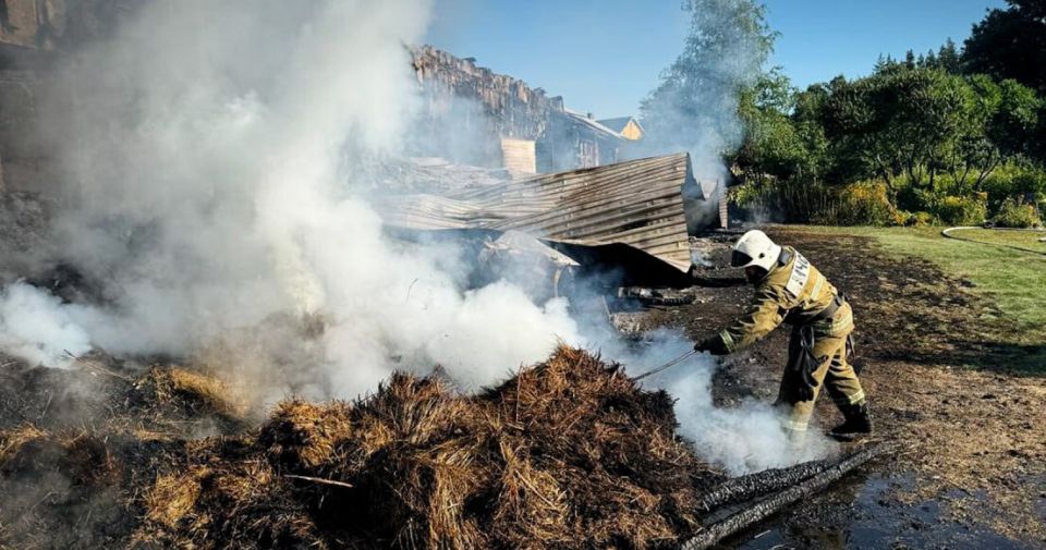 Чрезвычайная пожароопасность сохранится в центральных районах ЛНР до 2 августа