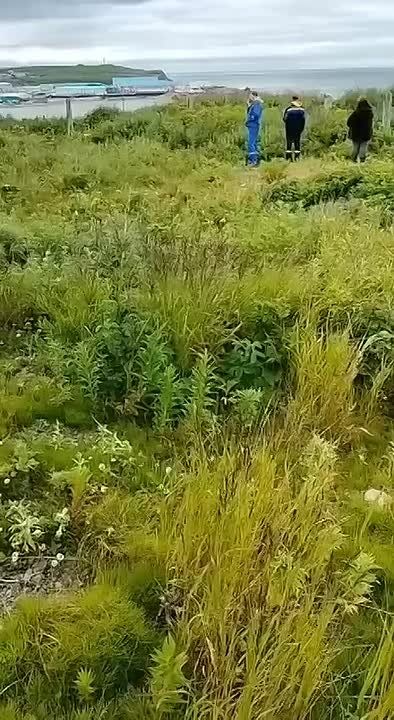 Герои — это у нас в крови. Среди катастроф самые жуткие — не войны, аварии и другие человеческих рук кошмары