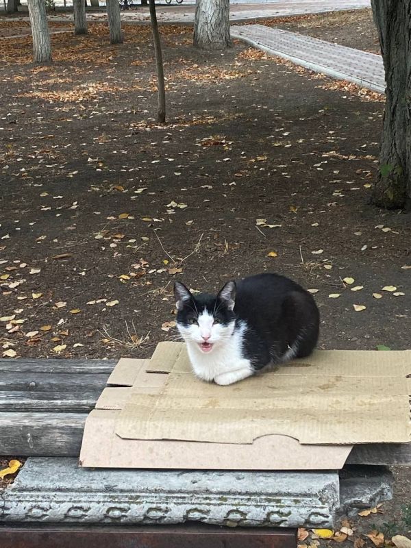 4 августа на территории Луганской Народной Республики прогнозируется переменная облачность