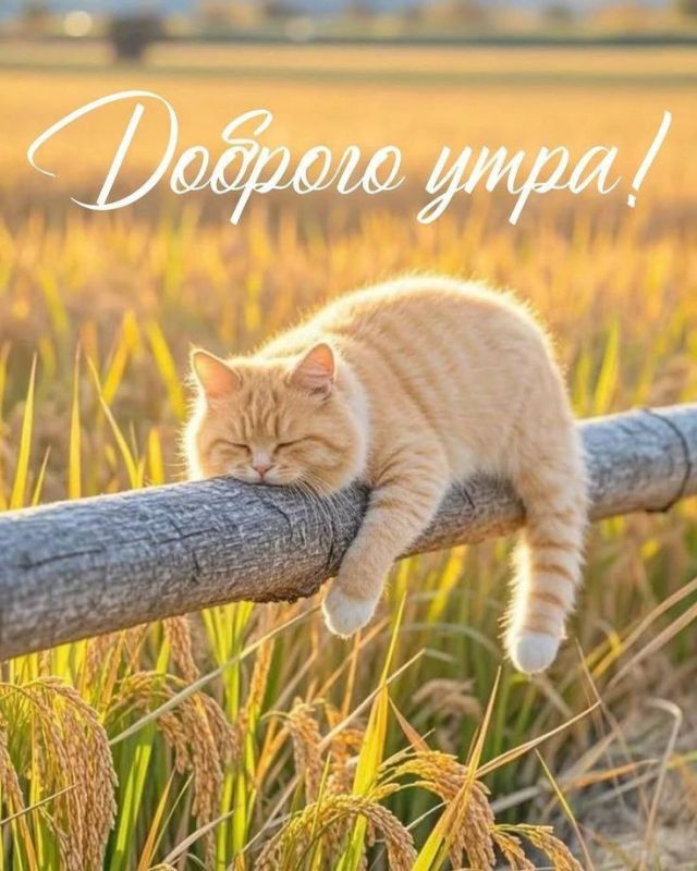 � ������ �����, ������������� �����!