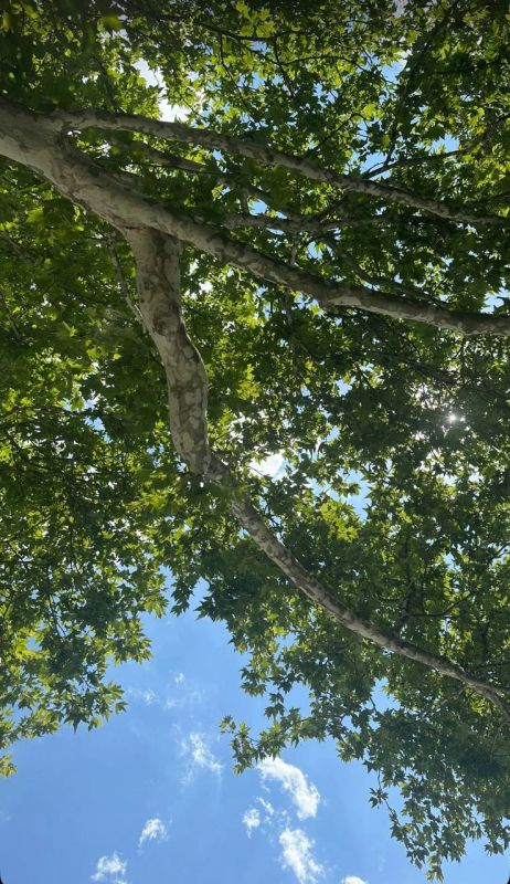 Синоптики прогнозируют 5 августа в ЛНР от 15 градусов выше нуля ночью до 33 градусов тепла днем — пресс-служба Главного управления МЧС по ЛНР