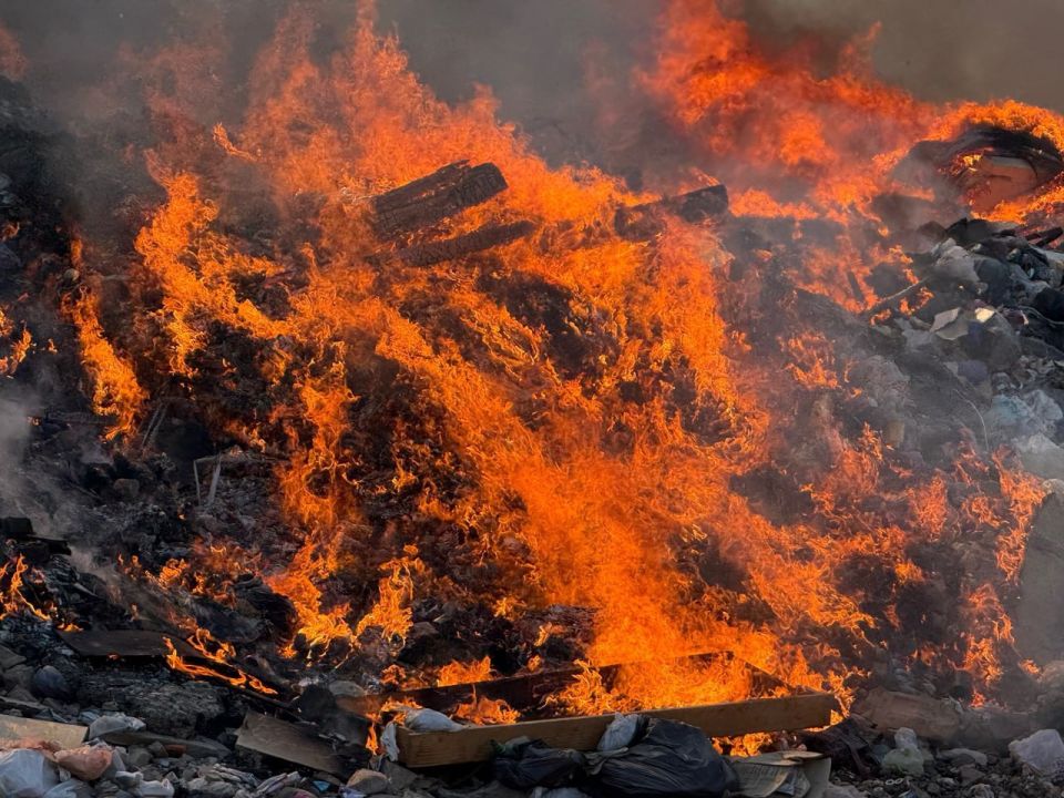 Защита природы от пожаров - наше общее дело