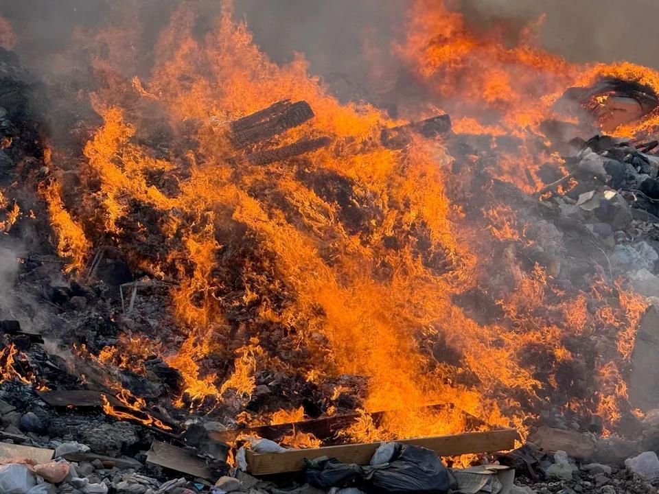 За выходные в ЛНР выгорело 19 гектаров территории