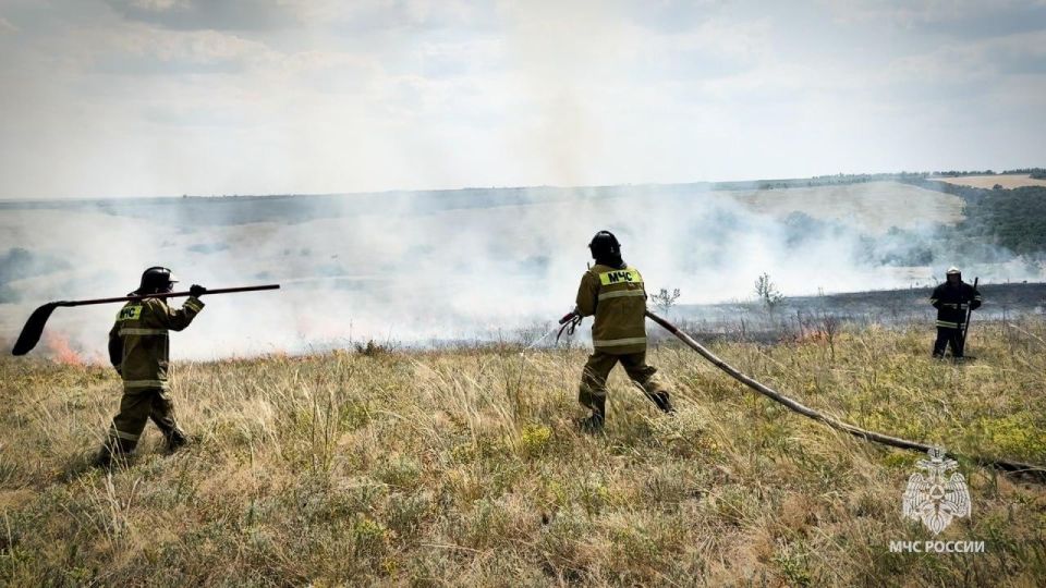 Защита природы от пожаров - наше общее дело
