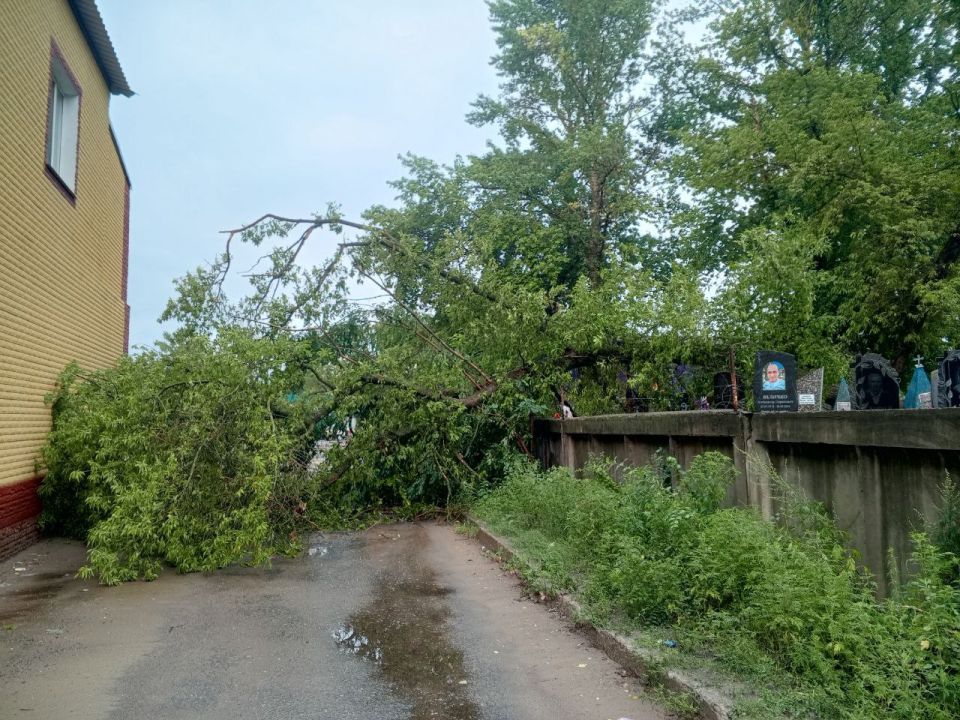 �������� ���������: � ��� ��������� ��������� ����������� ��������