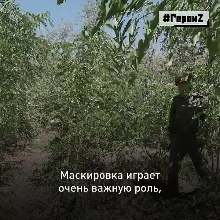 ������� ����� ��������, ��� ������ ������� ������, ��������� ������� ��� ������ � ������ ������������ �������, ����� ���� �� ������� �����������������