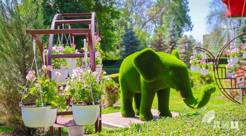 Синоптики прогнозируют 5 августа в ЛНР до 33 градусов тепла