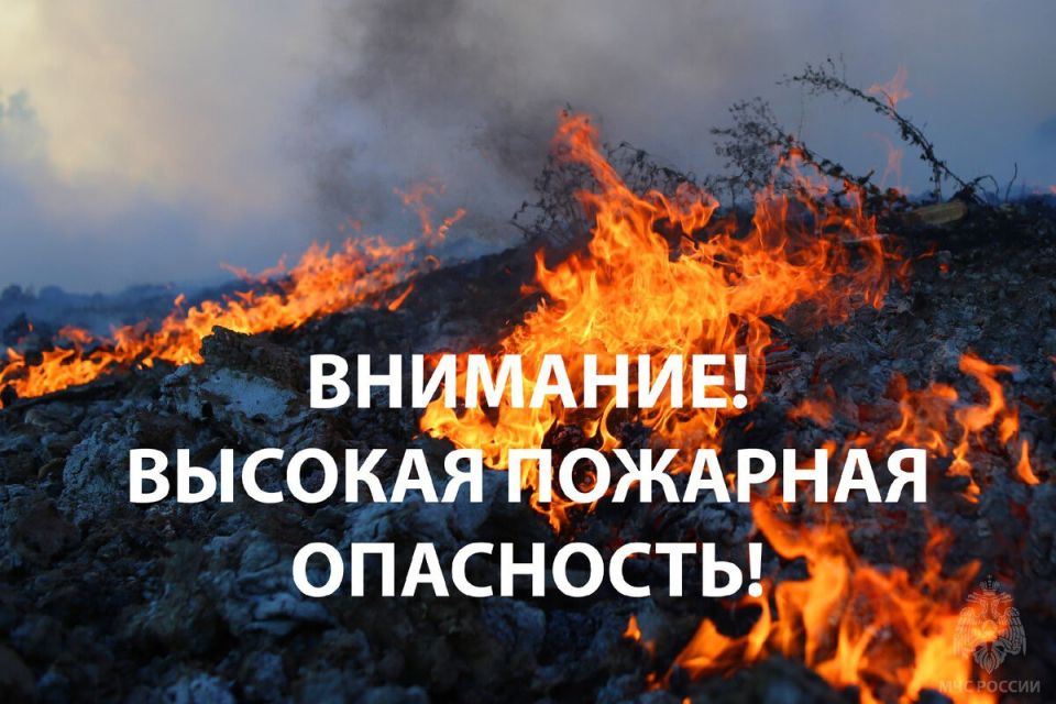�� ������ �������� ������� ���������������� ������ ���������: