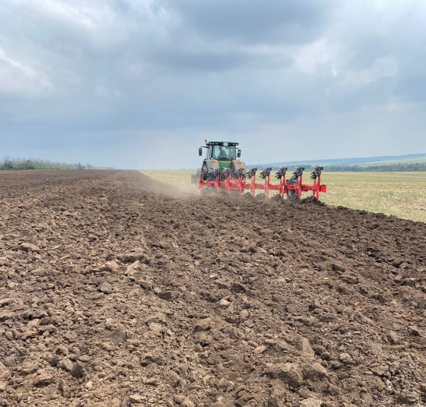 Подготовка почвы под сев озимых культур в Старобельском муниципальном округе
