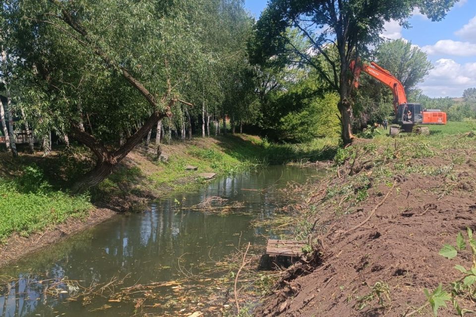 ������ �������: ��������� ���� �������� ���� ������ � ������������ ��������� ������ ��������� ����� ��� �� 50%