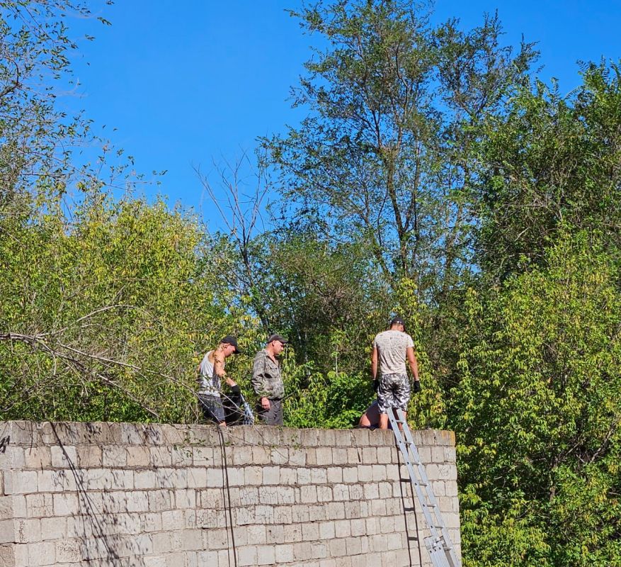 �������� �����������: ��� ��������� ���������������� ������