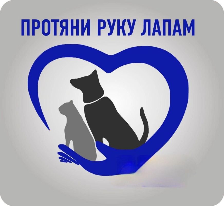 ������� ���� �����: ������� ��������� �������� ������!