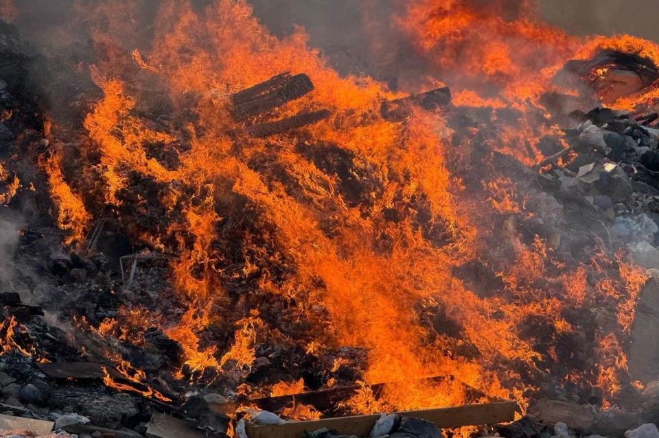 Защита природы от пожаров - наше общее дело