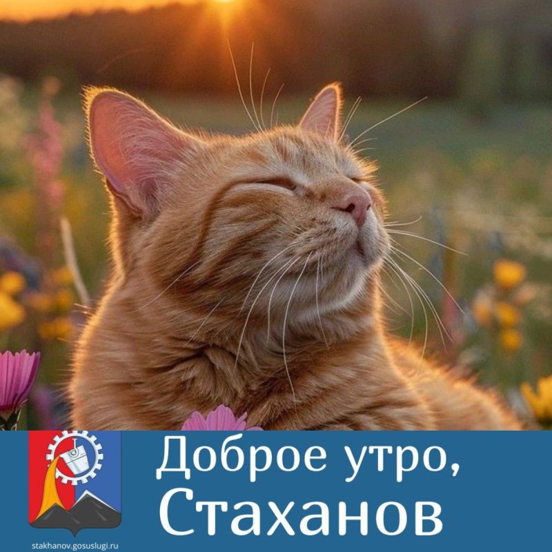 Доброе августовское утро, дорогие жители!