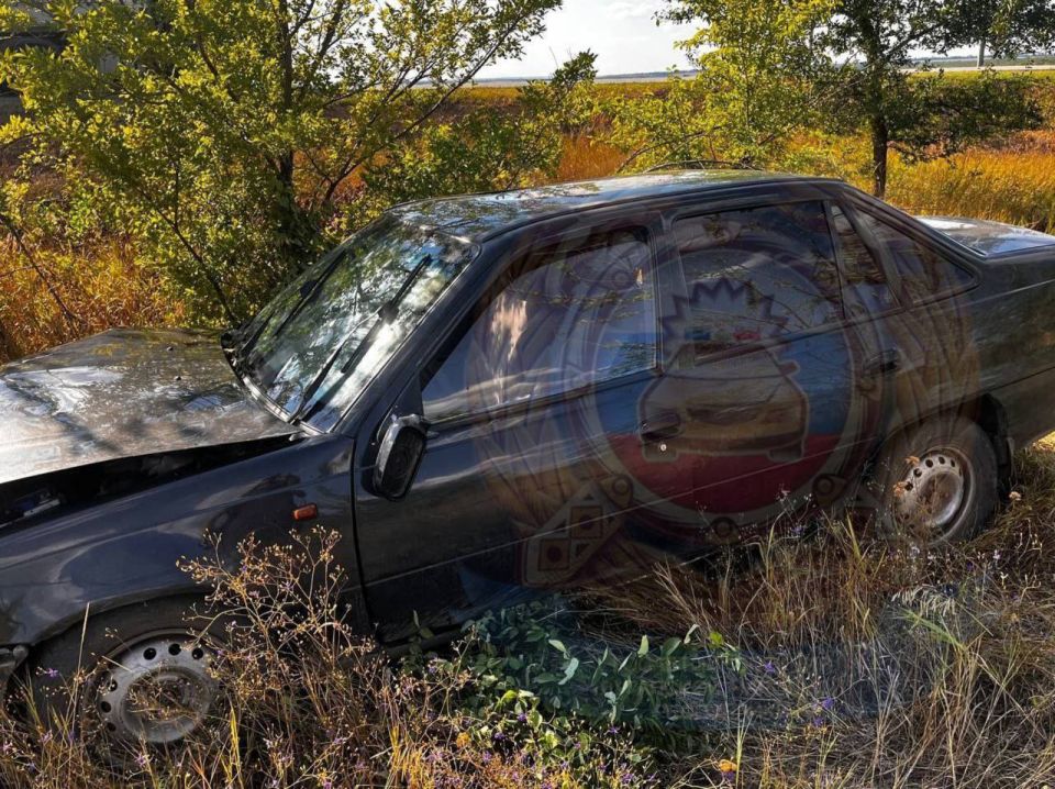 ���������������� ������� � ��� �������� ���������� � ���������� � ��������-��������� ������