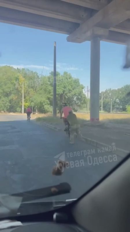 ����� ������, ���� �� ���������