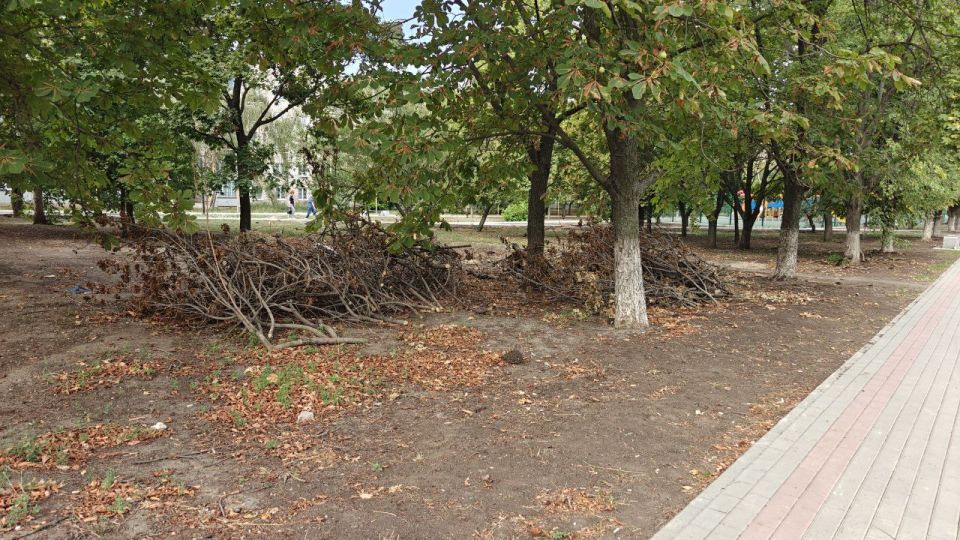 Виктория Сергеева: Коммунальщики в действии. В Кировске активно ведутся работы по благоустройству