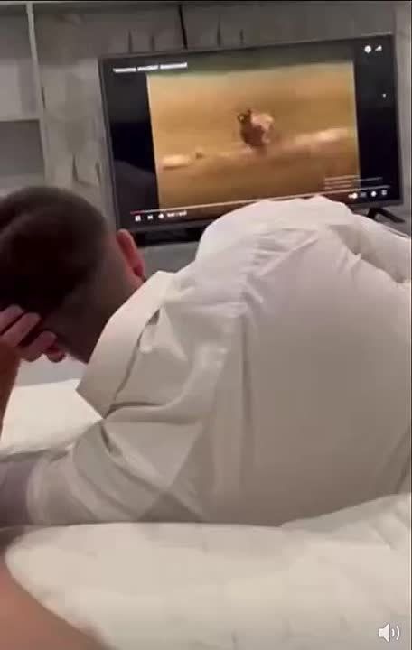 ����� �����, ����� ���� ���