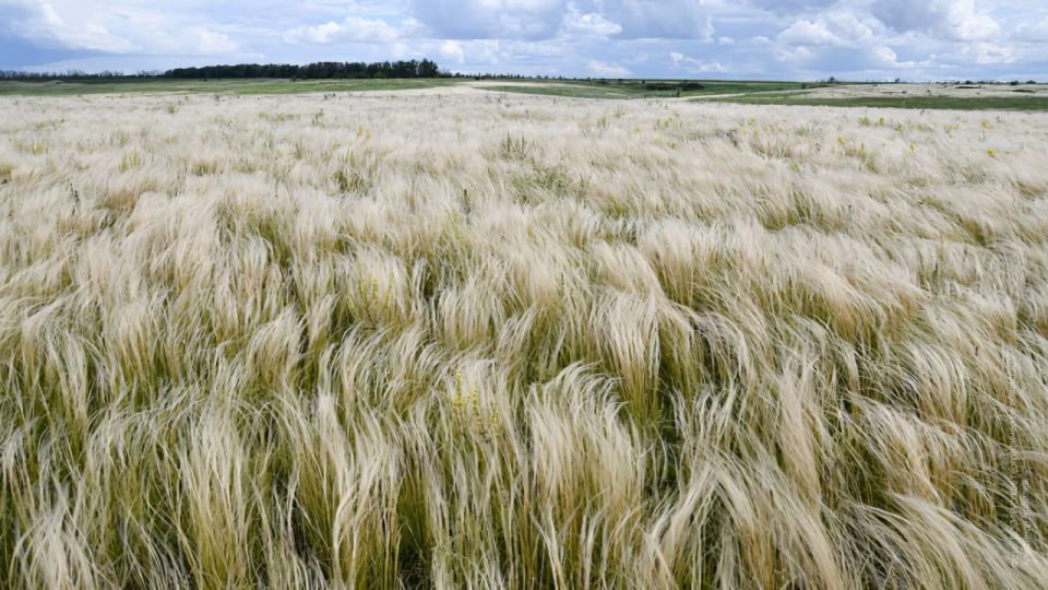 � ��������� �������� ���������� �������� ��������� �������� ��������