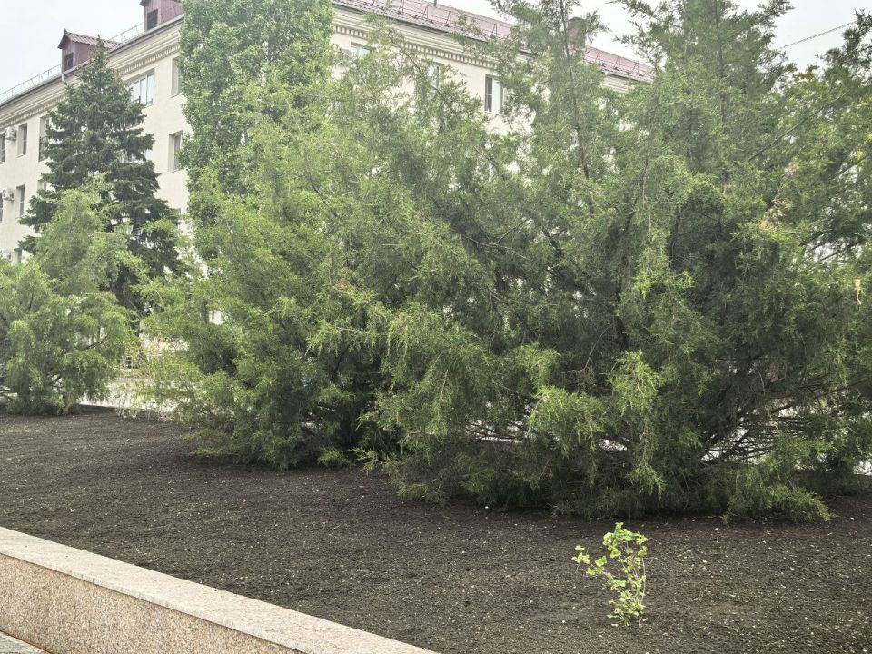 Сергей Козенко: В Краснодоне продолжаются работы по благоустройству Аллеи Дружбы – одного из знаковых мест города