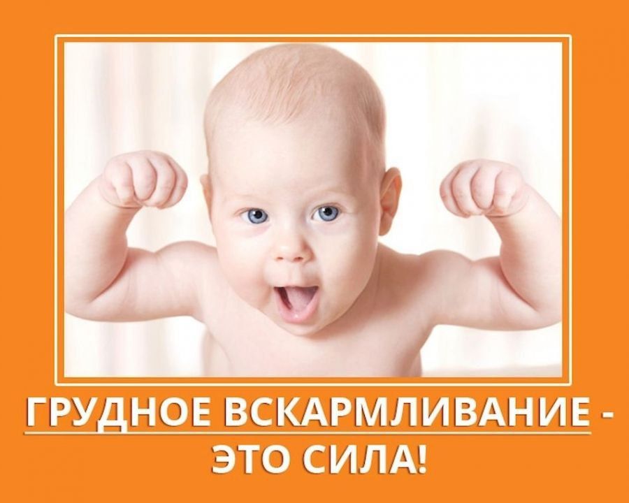 ����� � ������� �������������
