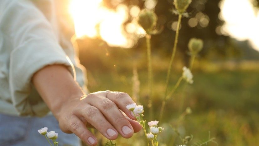 ������ �������� �������� � ��� ���������� ��������� ��������