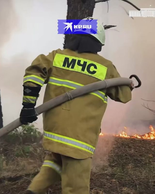 В ЛНР полыхают леса. В борьбе с лесными пожарами в Северодонецком лесничестве оказывают содействие казаки и добровольцы Всекрымского казачьего союза