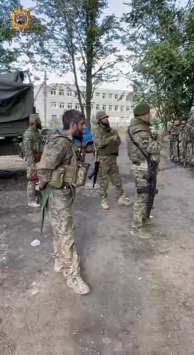 ���� ���������: 2022 �., 7 ��������, ����� ��������