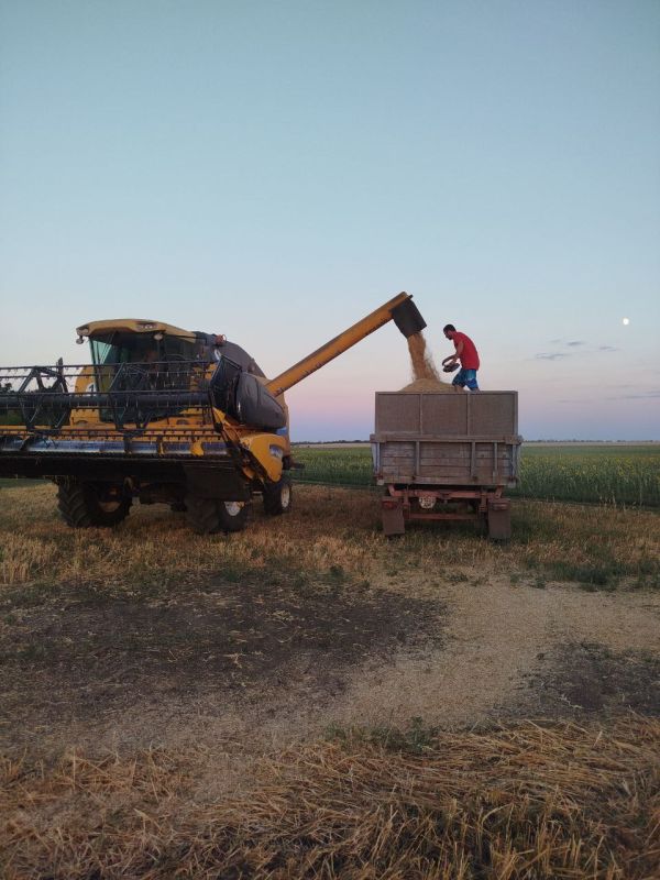 Андрей Рубанцов: В Ровеньках продолжается уборочная кампания