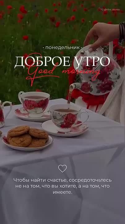 � ������ ����� ������������� �����! ���� �������� ������!